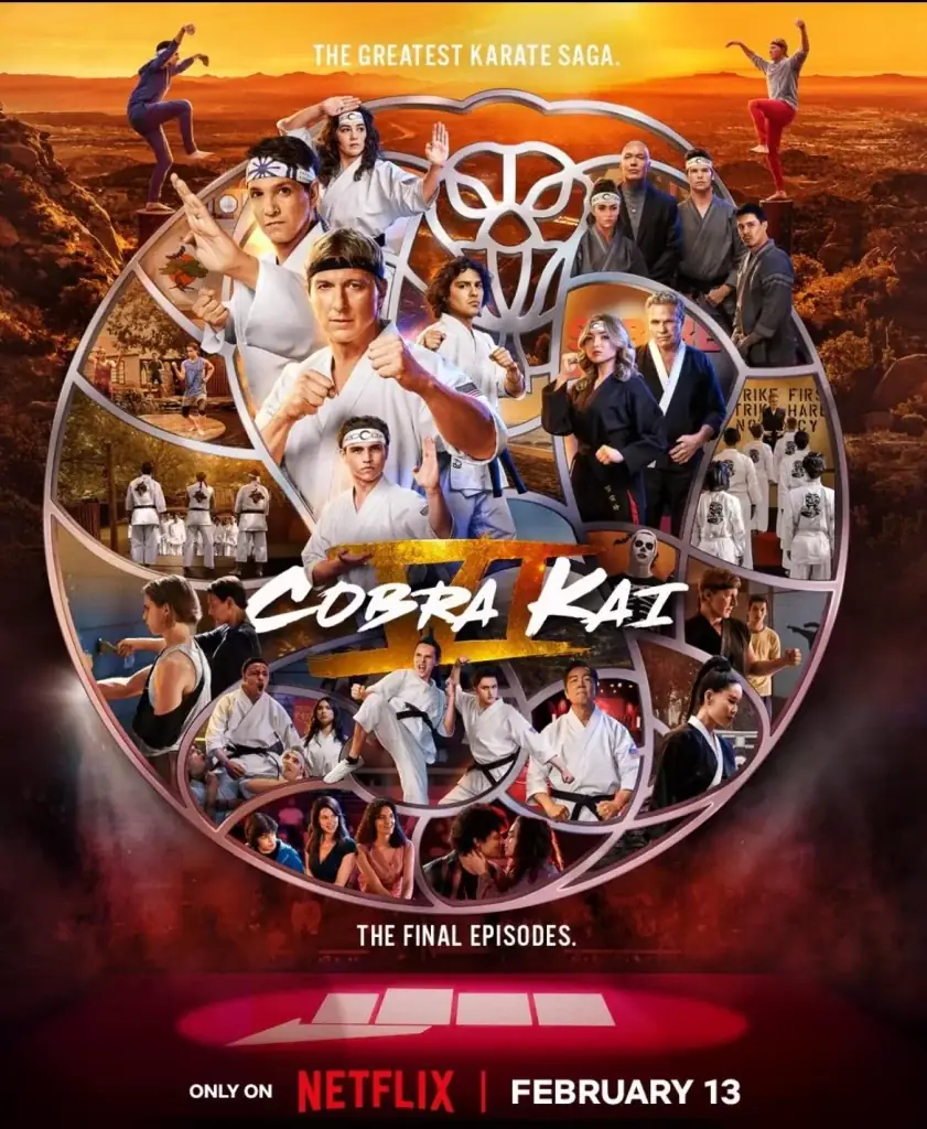 2) Cobra Kai 6.3